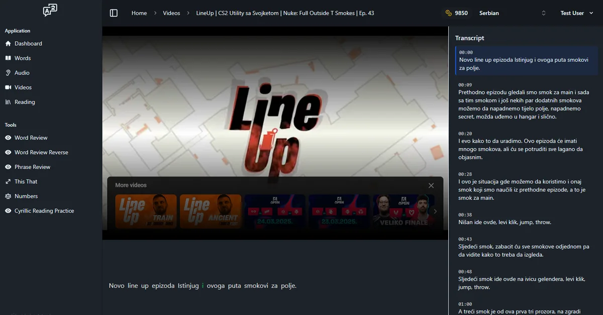 Screenshot of the app's video playback feature showing subtitles generated by the tool.